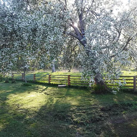 Kempings Jurmalnieki Campsite